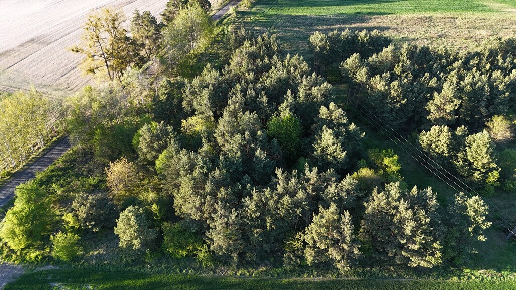 Działka na sprzedaż Steklno 3 005 m2 | Arka Nieruchomości