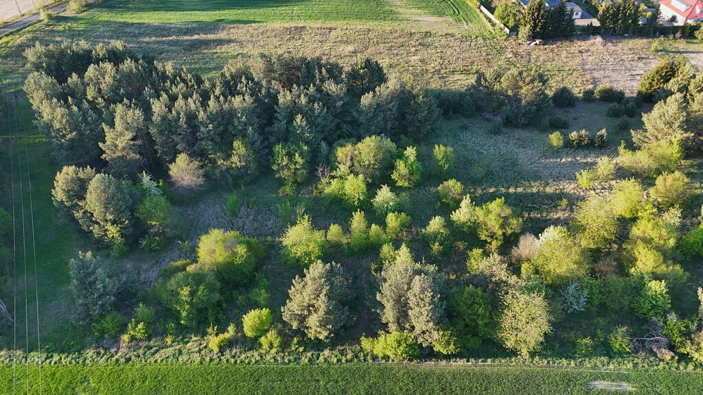 Działka na sprzedaż Steklno 3 005 m2 | Arka Nieruchomości