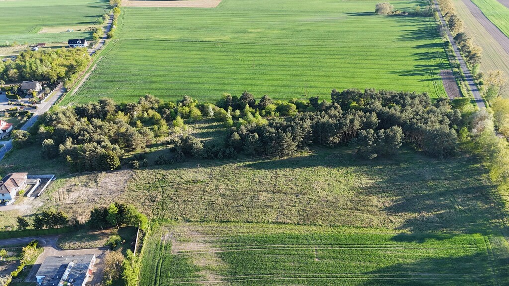 Działka na sprzedaż Steklno 3 005 m2 | Arka Nieruchomości