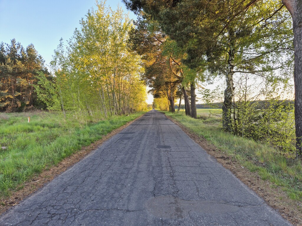 Działka na sprzedaż Steklno 3 005 m2 | Arka Nieruchomości