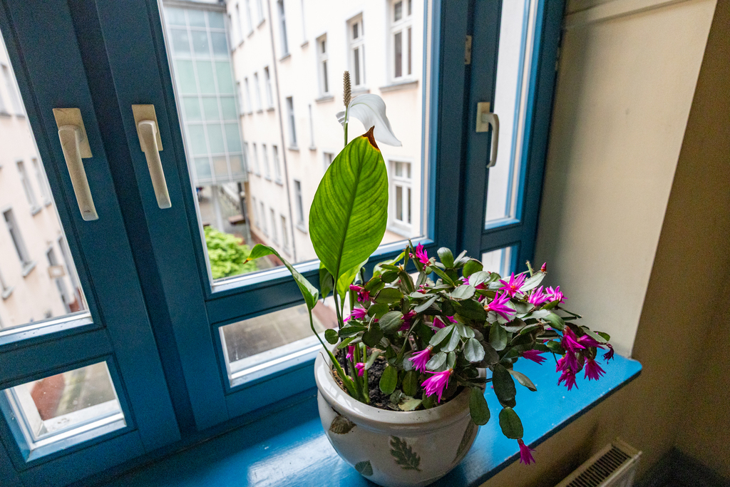 Mieszkanie na sprzedaż Szczecin, Śródmieście 68 m2 | Arka Nieruchomości
