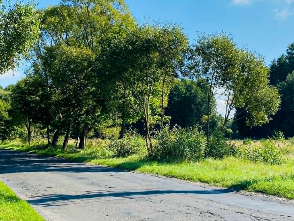 Działka na sprzedaż Moracz 1 033 m2 | Arka Nieruchomości
