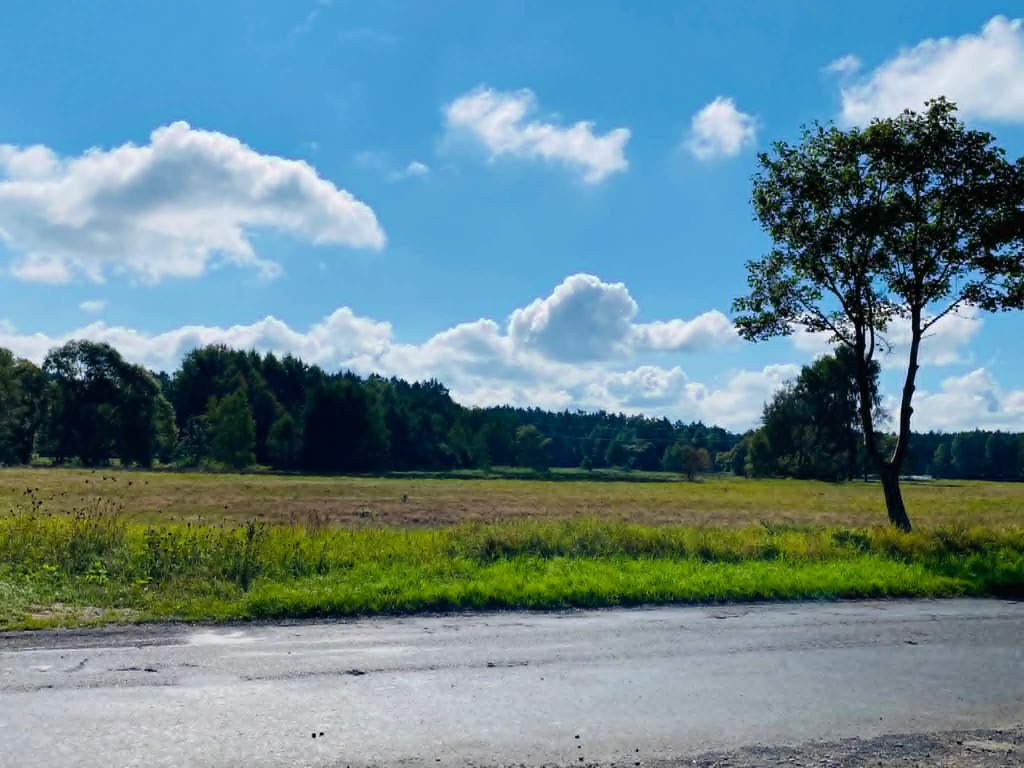 Działka na sprzedaż Moracz 1 033 m2 | Arka Nieruchomości