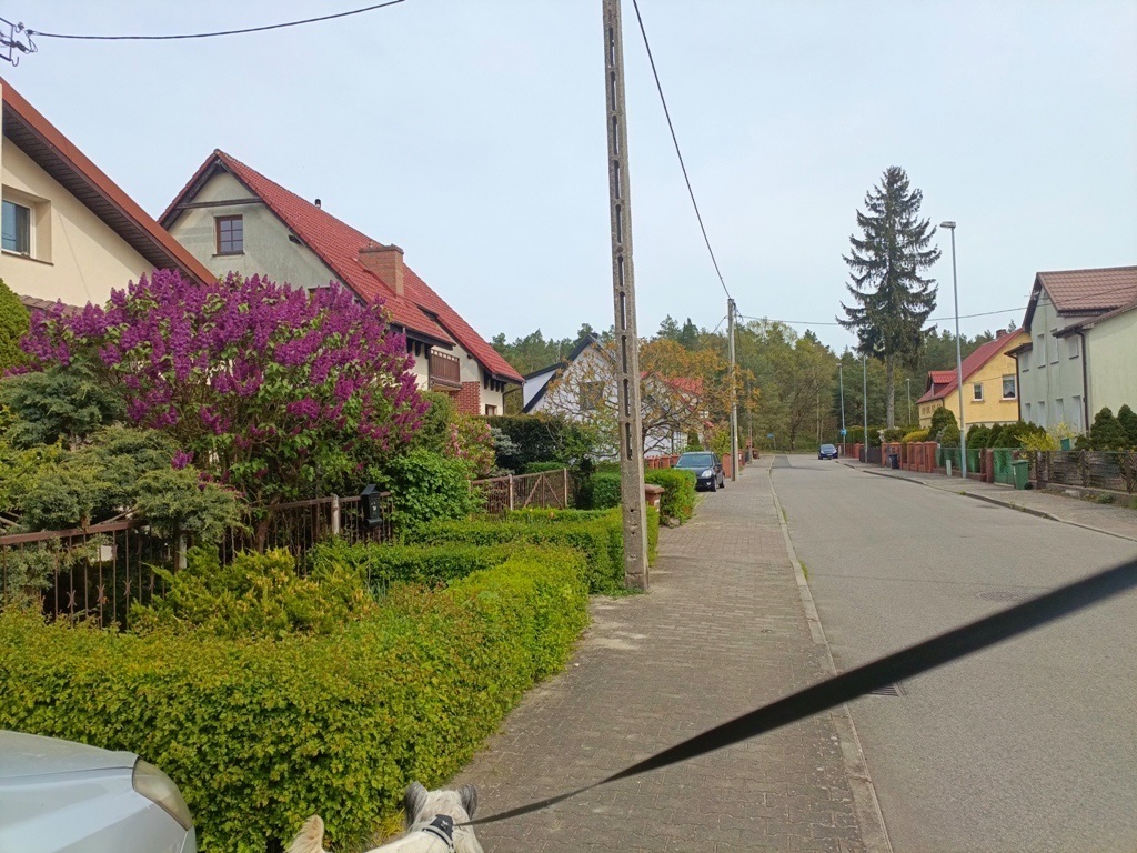 Mieszkanie na wynajem Szczecin, Kijewo 130 m2 | Arka Nieruchomości