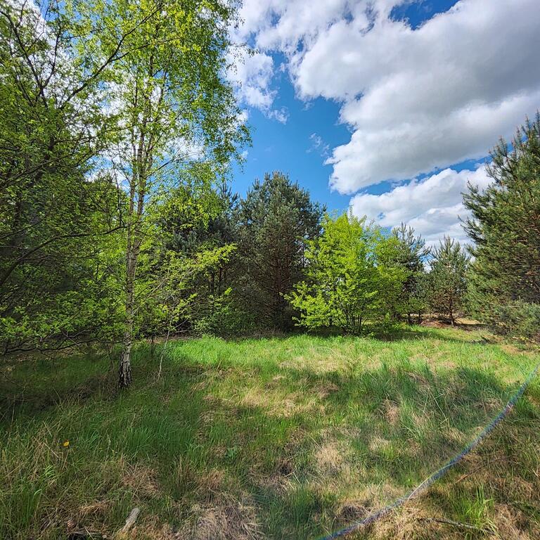Dom na sprzedaż Dominikowo 240 m2 | Arka Nieruchomości