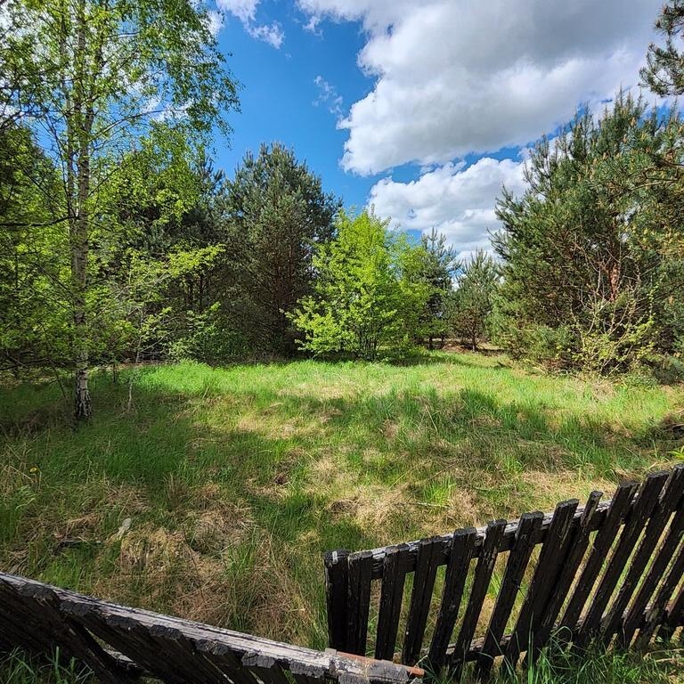 Dom na sprzedaż Dominikowo 240 m2 | Arka Nieruchomości