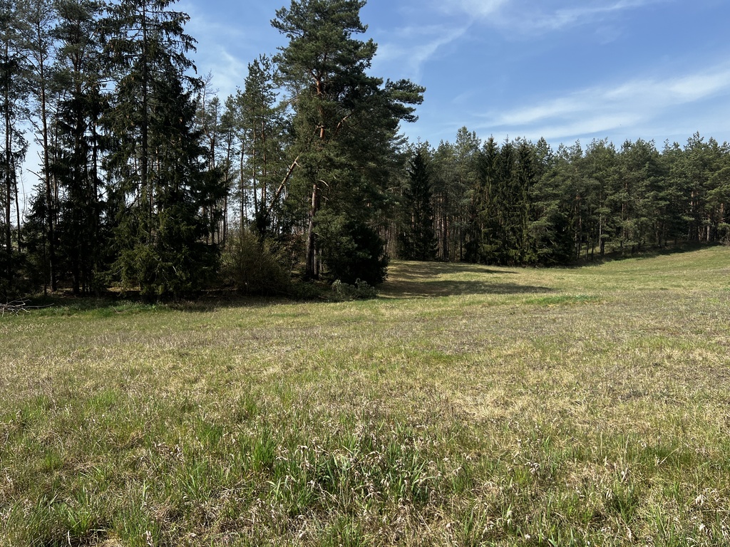 4,27 ha nad jeziorem Tałty + linia brzegowa - SWJM — zdjęcie 6