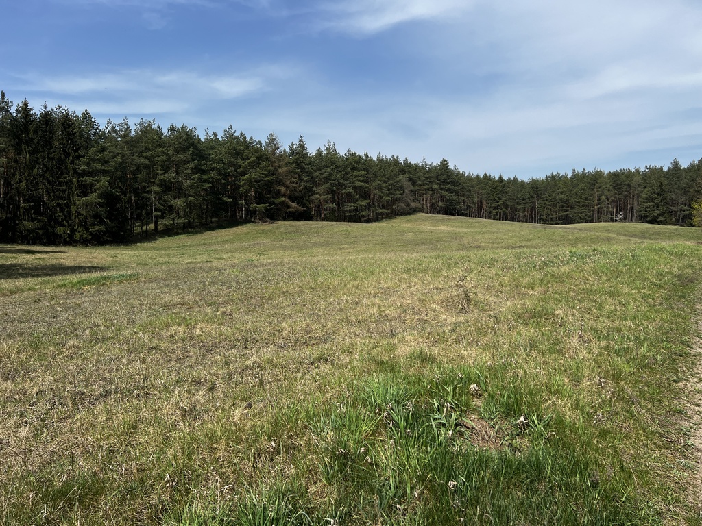 4,27 ha nad jeziorem Tałty + linia brzegowa - SWJM — zdjęcie 7