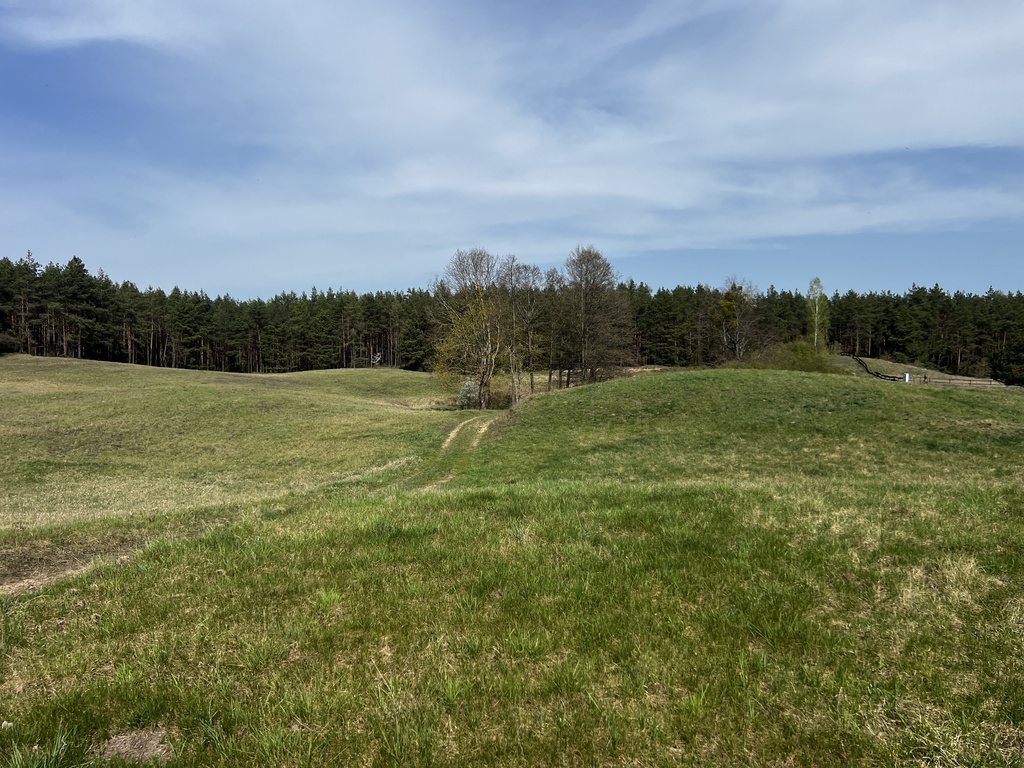 4,27 ha nad jeziorem Tałty + linia brzegowa - SWJM — zdjęcie 8