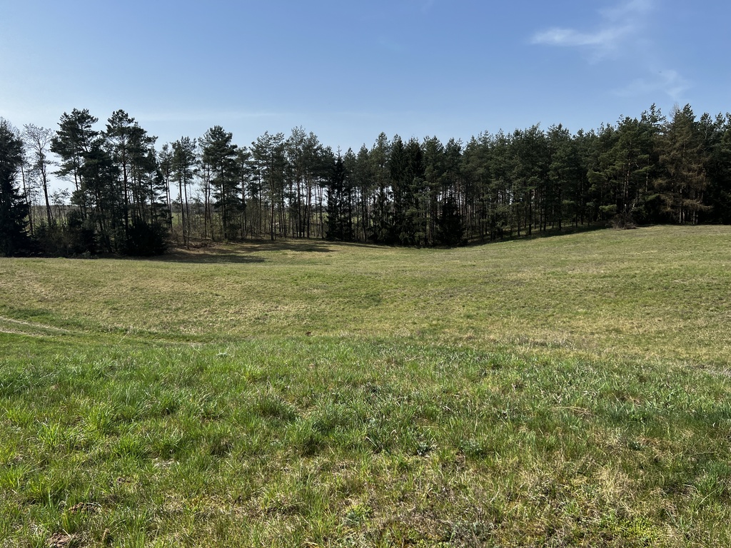 4,27 ha nad jeziorem Tałty + linia brzegowa - SWJM — zdjęcie 9