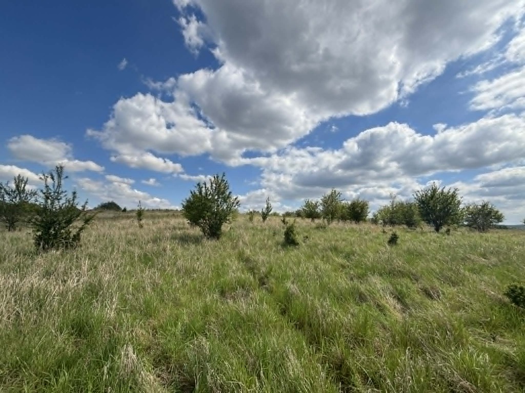 Działka na sprzedaż Gryfino 1 302 m2 | Arka Nieruchomości