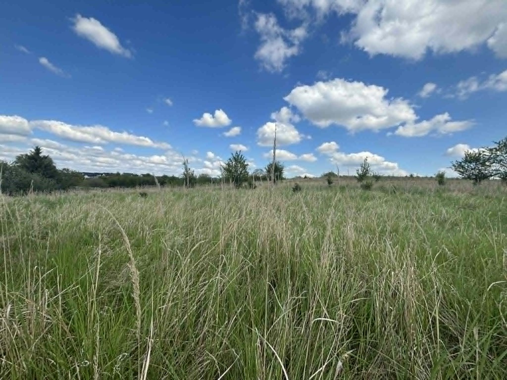 Działka na sprzedaż Gryfino 1 302 m2 | Arka Nieruchomości