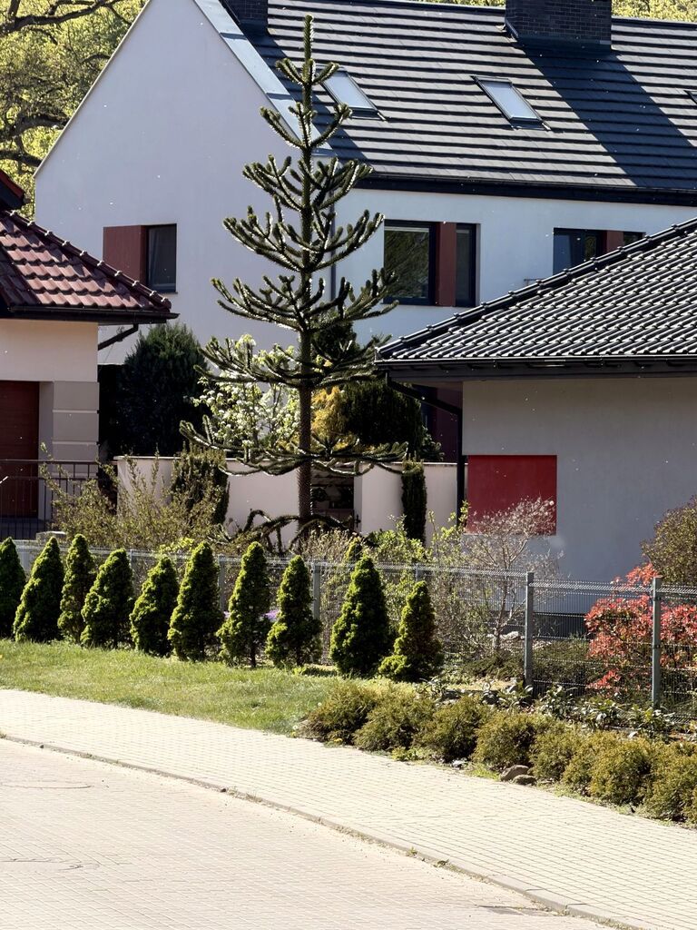 Dom na sprzedaż Szczecin, os. Bukowe 165 m2 | Arka Nieruchomości