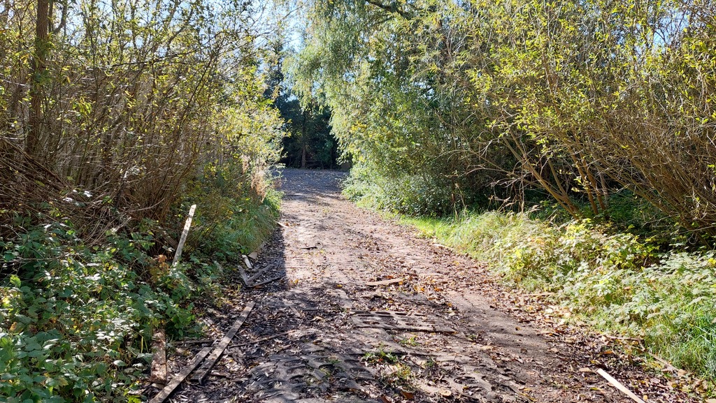 Działka na sprzedaż Drawno 13 451 m2 | Arka Nieruchomości