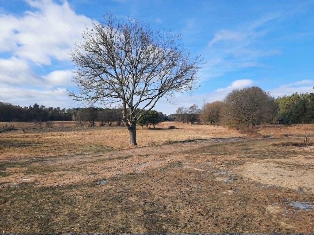 Działka na sprzedaż Dzisna 3 758 m2 | Arka Nieruchomości