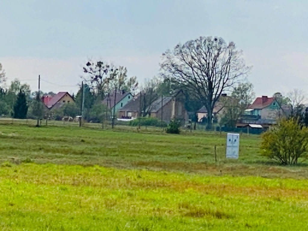 Działka na sprzedaż Miłowo 1 175 m2 | Arka Nieruchomości