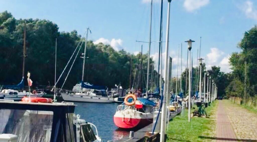 Działka na sprzedaż Miłowo 1 175 m2 | Arka Nieruchomości