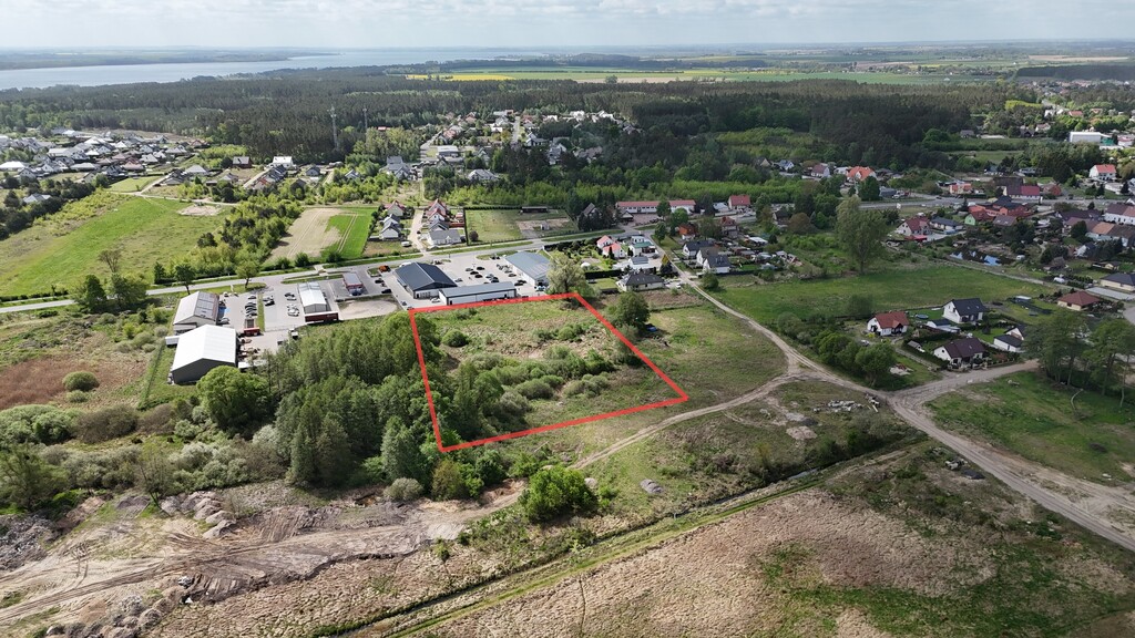 Zdjęcie 10