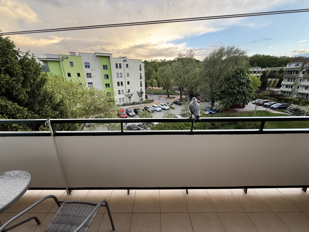 Mieszkanie na wynajem Szczecin, os. Bukowe 50 m2 | Arka Nieruchomości