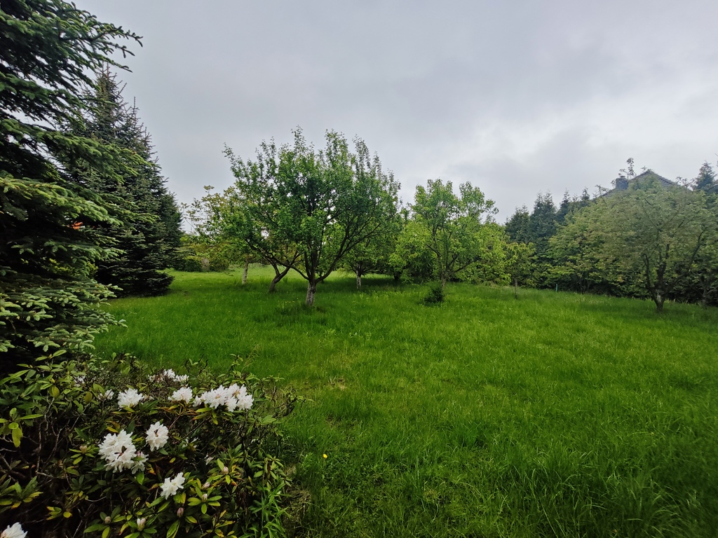Lokal na wynajem Szczecin, Osów 56 m2 | Arka Nieruchomości