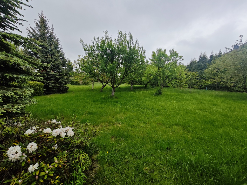 Mieszkanie na wynajem Szczecin, Osów 56 m2 | Arka Nieruchomości