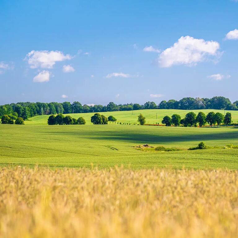 Działka na sprzedaż Przemocze 883 m2 | Arka Nieruchomości