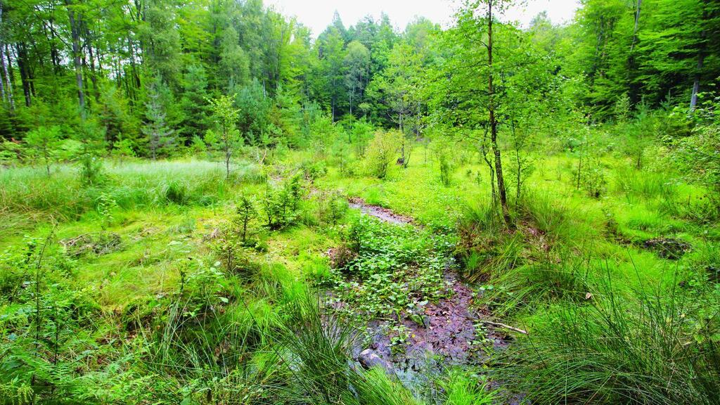 Działka na sprzedaż Przemocze 883 m2 | Arka Nieruchomości