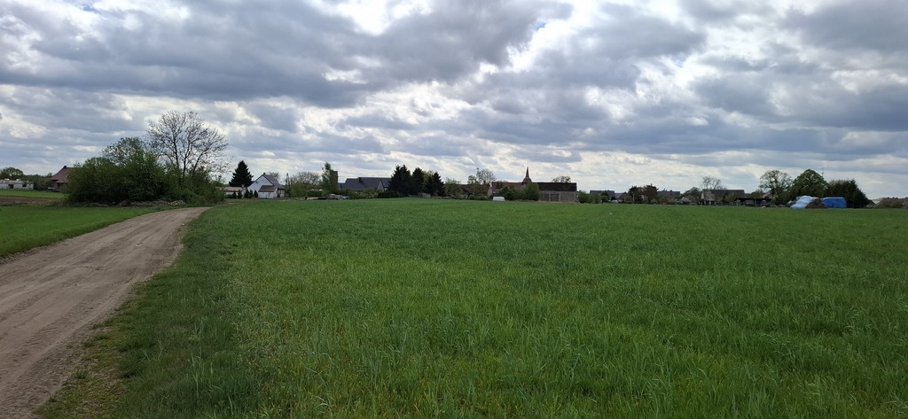 Działka na sprzedaż Bagna 54 555 m2 | Arka Nieruchomości