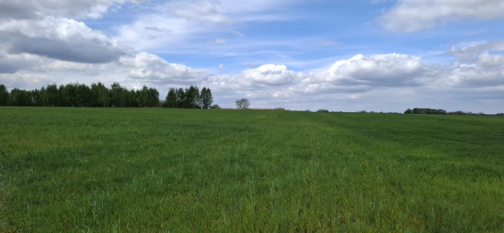 Działka na sprzedaż Bagna 54 555 m2 | Arka Nieruchomości