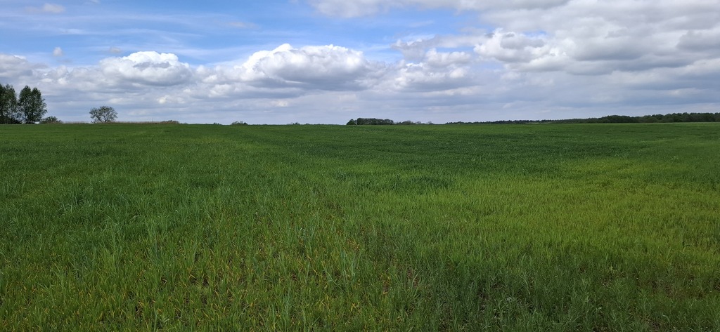 Działka na sprzedaż Bagna 54 555 m2 | Arka Nieruchomości