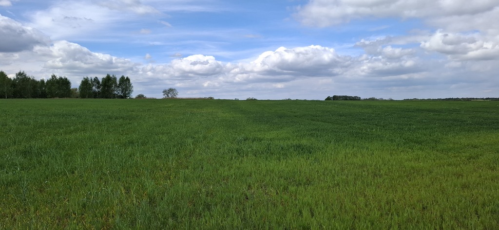 Działka na sprzedaż Bagna 54 555 m2 | Arka Nieruchomości