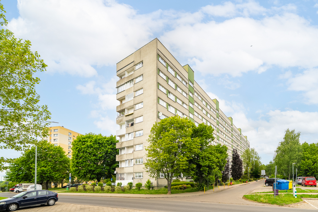 Zdjęcie 12