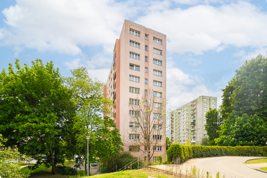 Zdjęcie 10