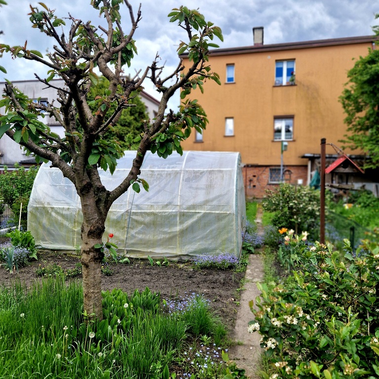 Mieszkanie na sprzedaż Goleniów 72 m2 | Arka Nieruchomości