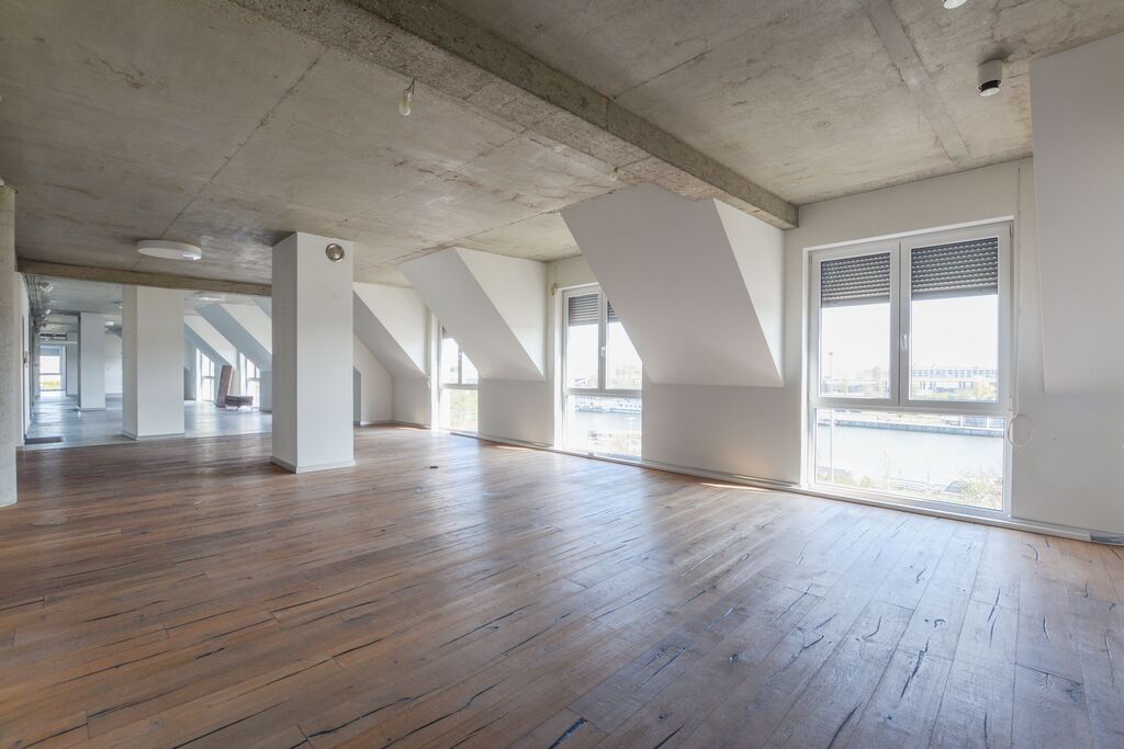 Mieszkanie na wynajem Szczecin, Nowe Miasto 309 m2 | Arka Nieruchomości
