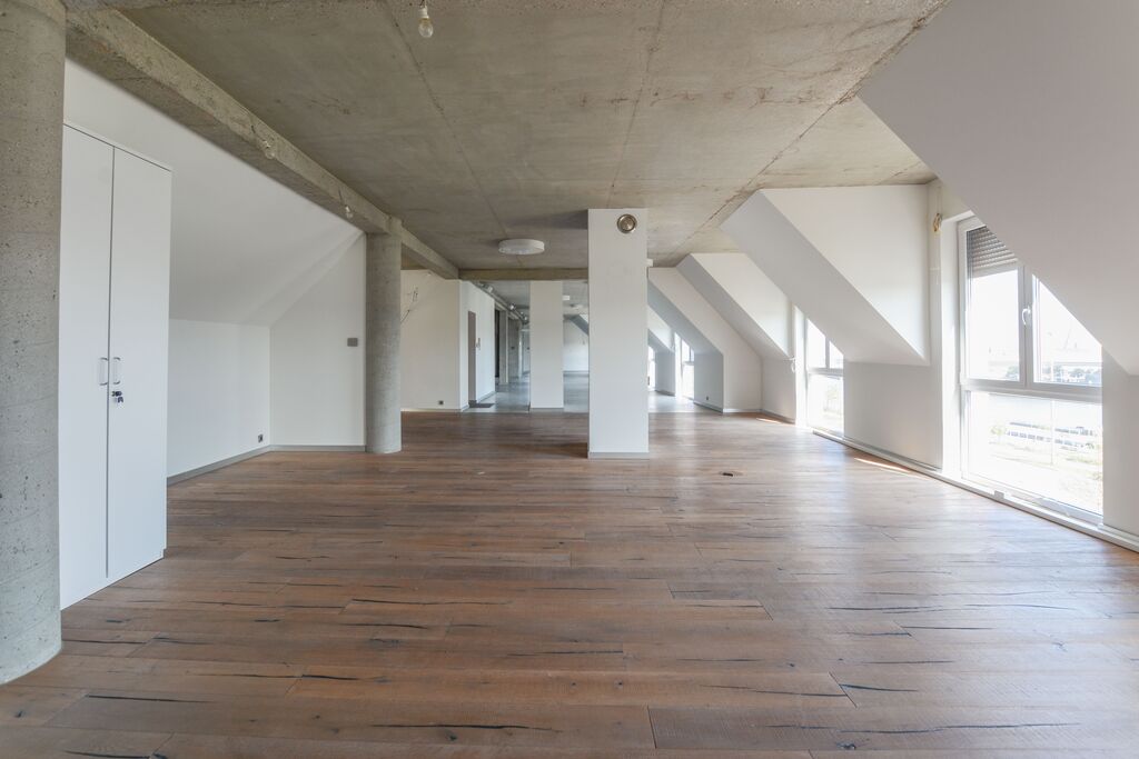 Mieszkanie na wynajem Szczecin, Nowe Miasto 309 m2 | Arka Nieruchomości