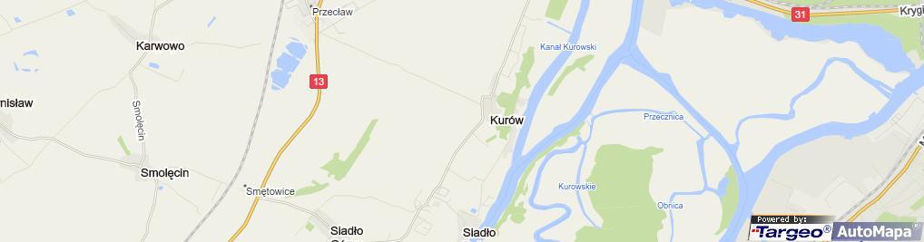 Działka na sprzedaż Kurów 27 988 m2 | Arka Nieruchomości