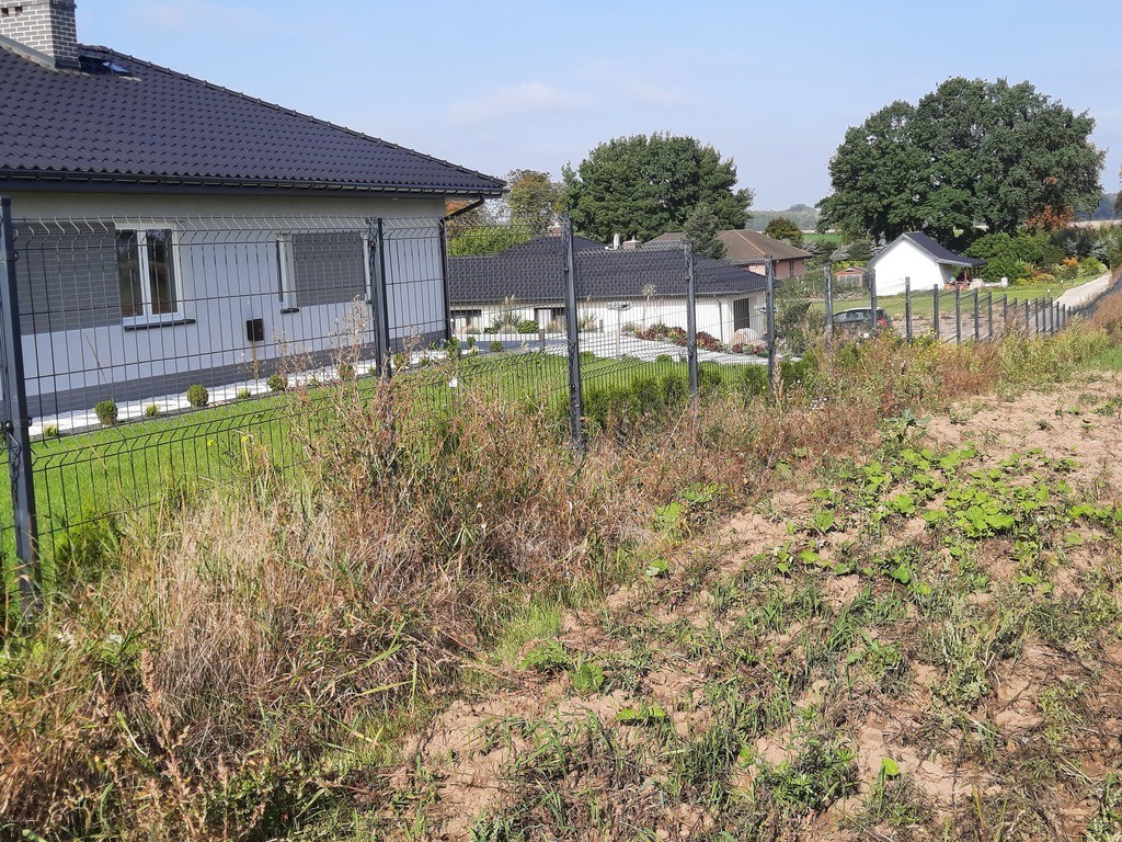 Działka na sprzedaż Kurów 27 988 m2 | Arka Nieruchomości