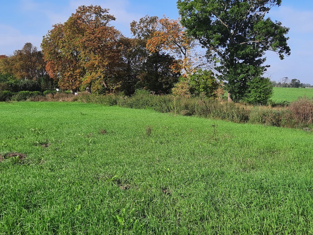 Działka na sprzedaż Kurów 27 988 m2 | Arka Nieruchomości