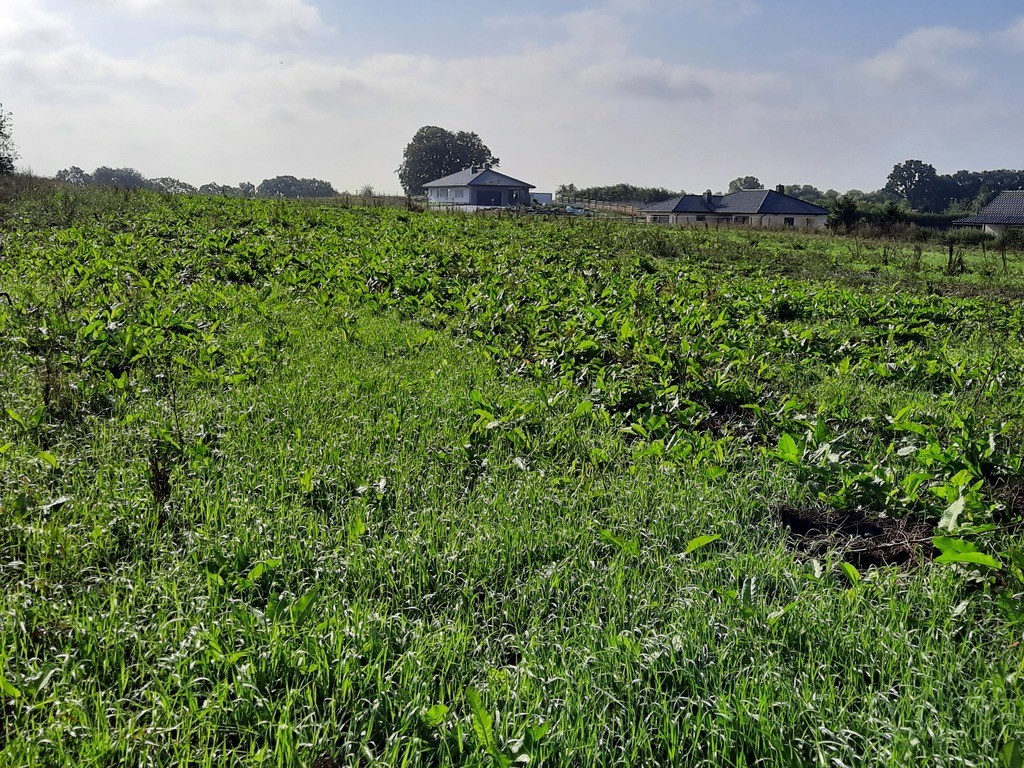 Działka na sprzedaż Kurów 27 988 m2 | Arka Nieruchomości