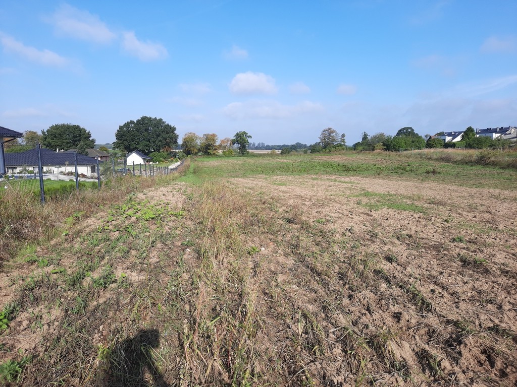 Działka na sprzedaż Kurów 27 988 m2 | Arka Nieruchomości
