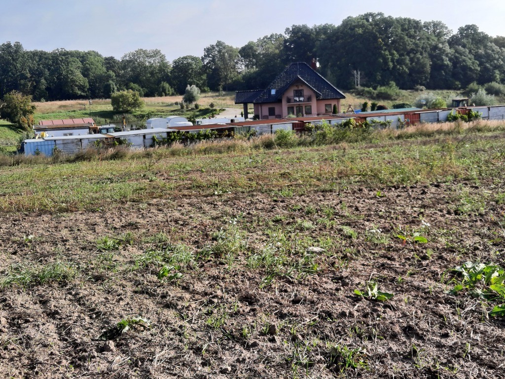 Działka na sprzedaż Kurów 27 988 m2 | Arka Nieruchomości