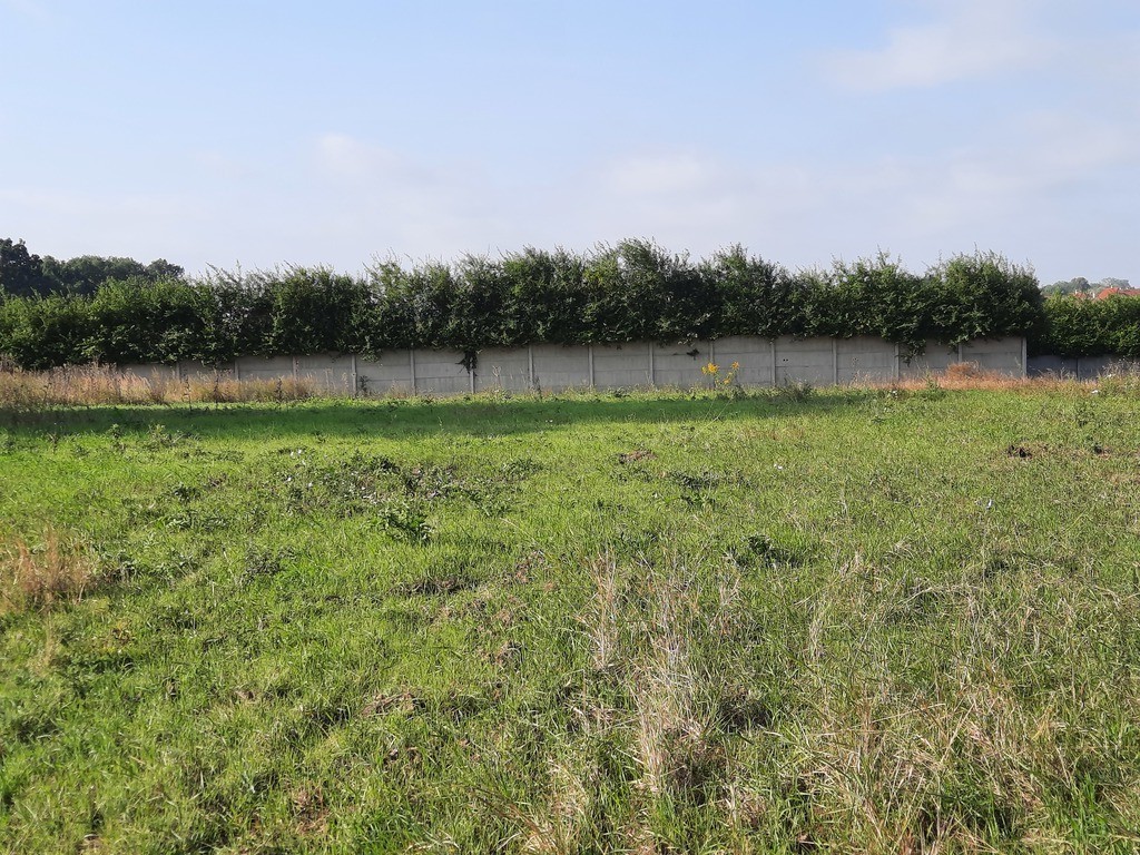 Działka na sprzedaż Kurów 27 988 m2 | Arka Nieruchomości