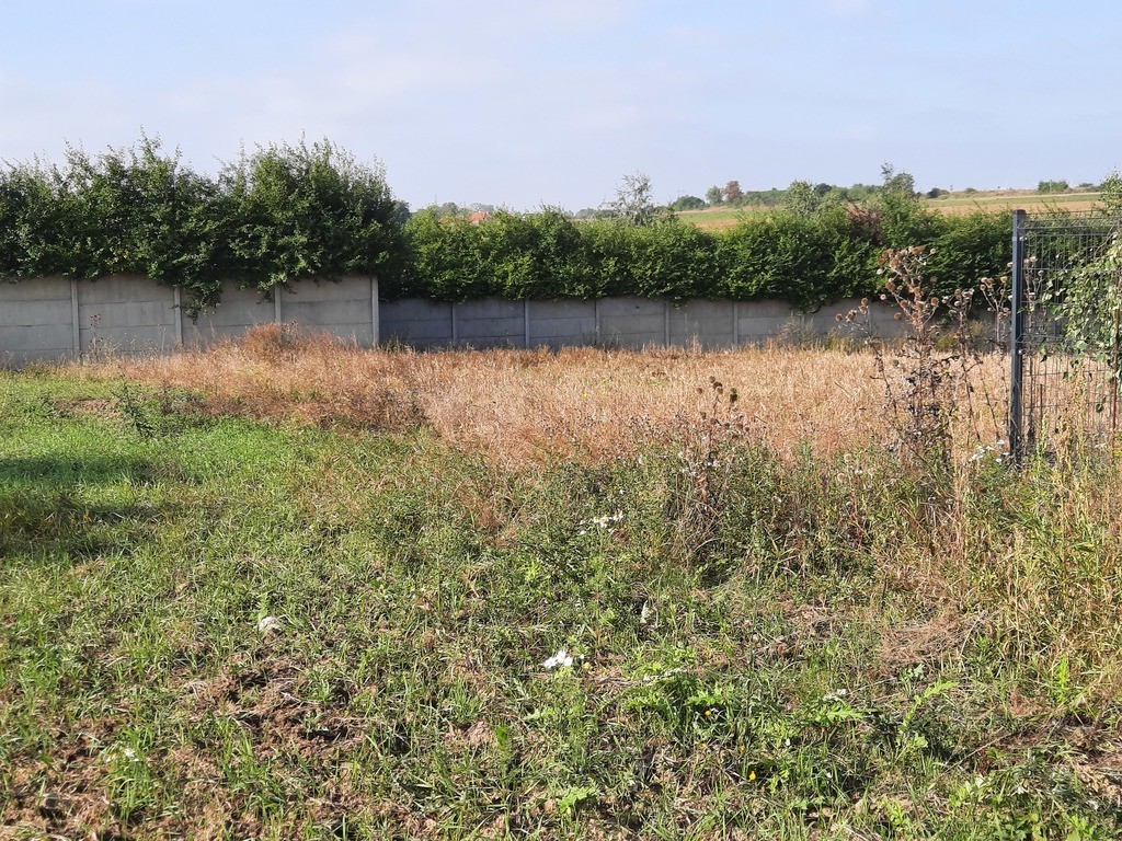 Działka na sprzedaż Kurów 27 988 m2 | Arka Nieruchomości