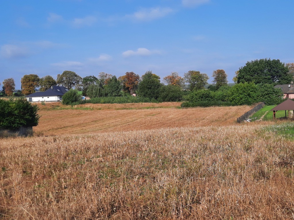 Działka na sprzedaż Kurów 27 988 m2 | Arka Nieruchomości