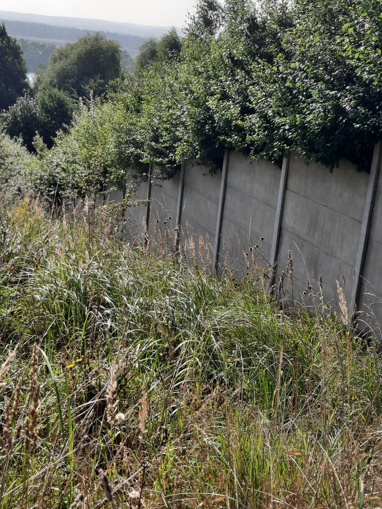 Działka na sprzedaż Kurów 27 988 m2 | Arka Nieruchomości