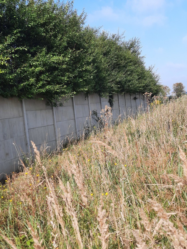 Działka na sprzedaż Kurów 27 988 m2 | Arka Nieruchomości