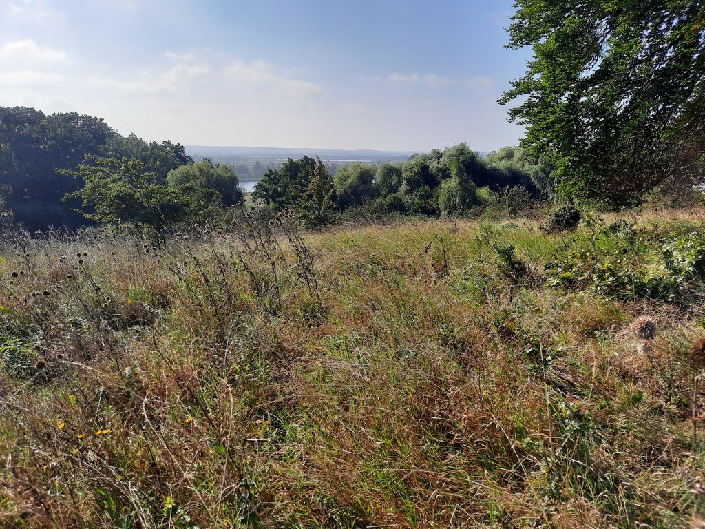 Działka na sprzedaż Kurów 27 988 m2 | Arka Nieruchomości