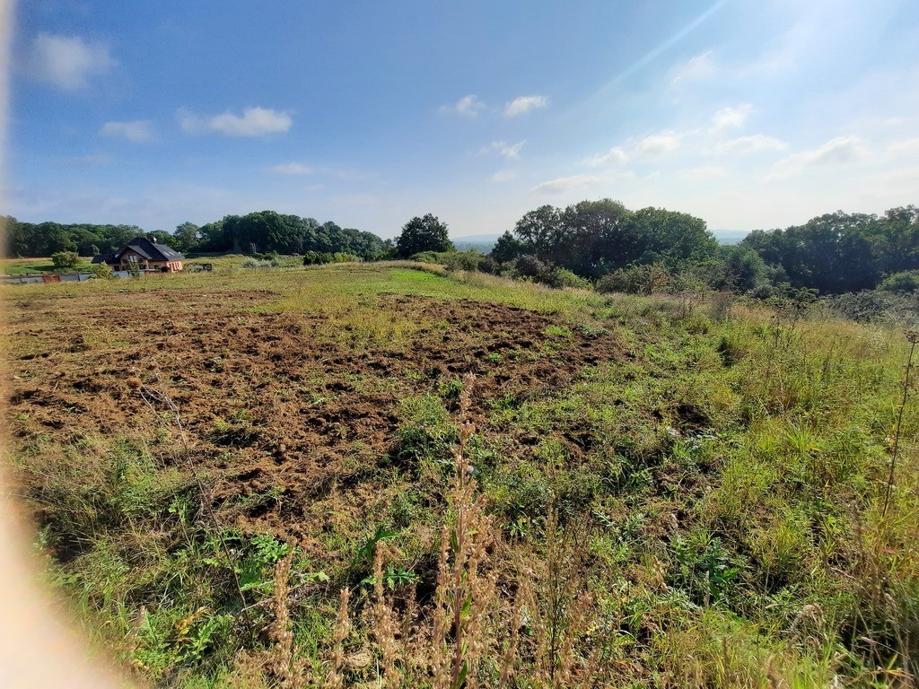 Działka na sprzedaż Kurów 27 988 m2 | Arka Nieruchomości