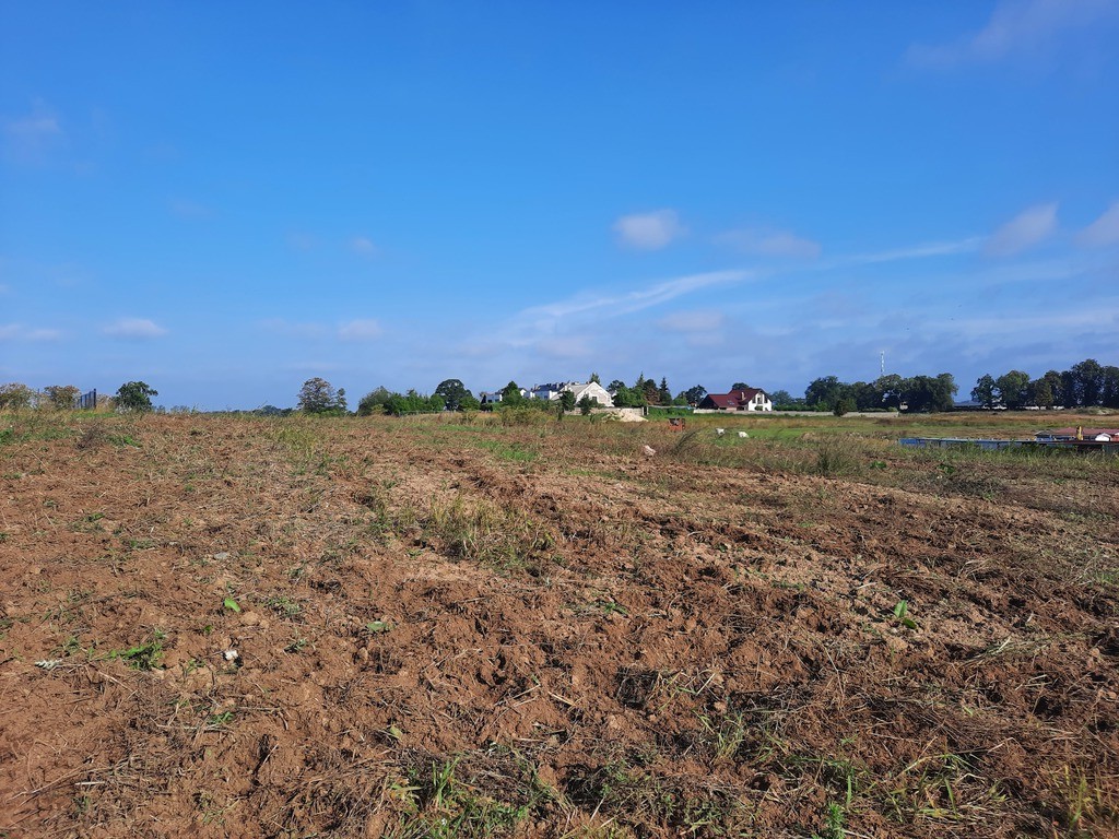 Działka na sprzedaż Kurów 27 988 m2 | Arka Nieruchomości